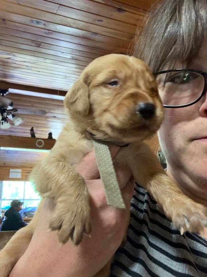 Pups1